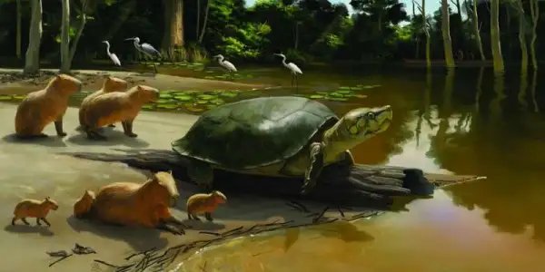 ¡El fósil de una tortuga fue nombrado en honor a un personaje de Stephen King!