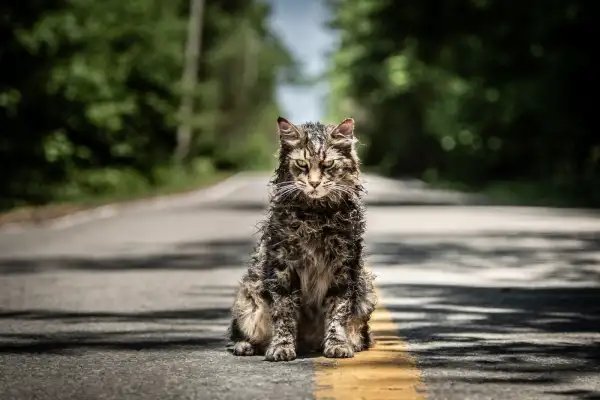 ¡Se viene otra PET SEMATARY!