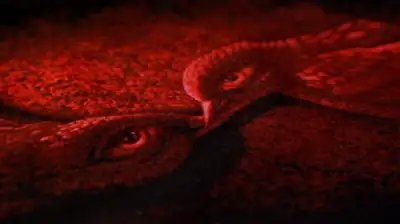 The Dark Half - Remera Talle M — Stephen King